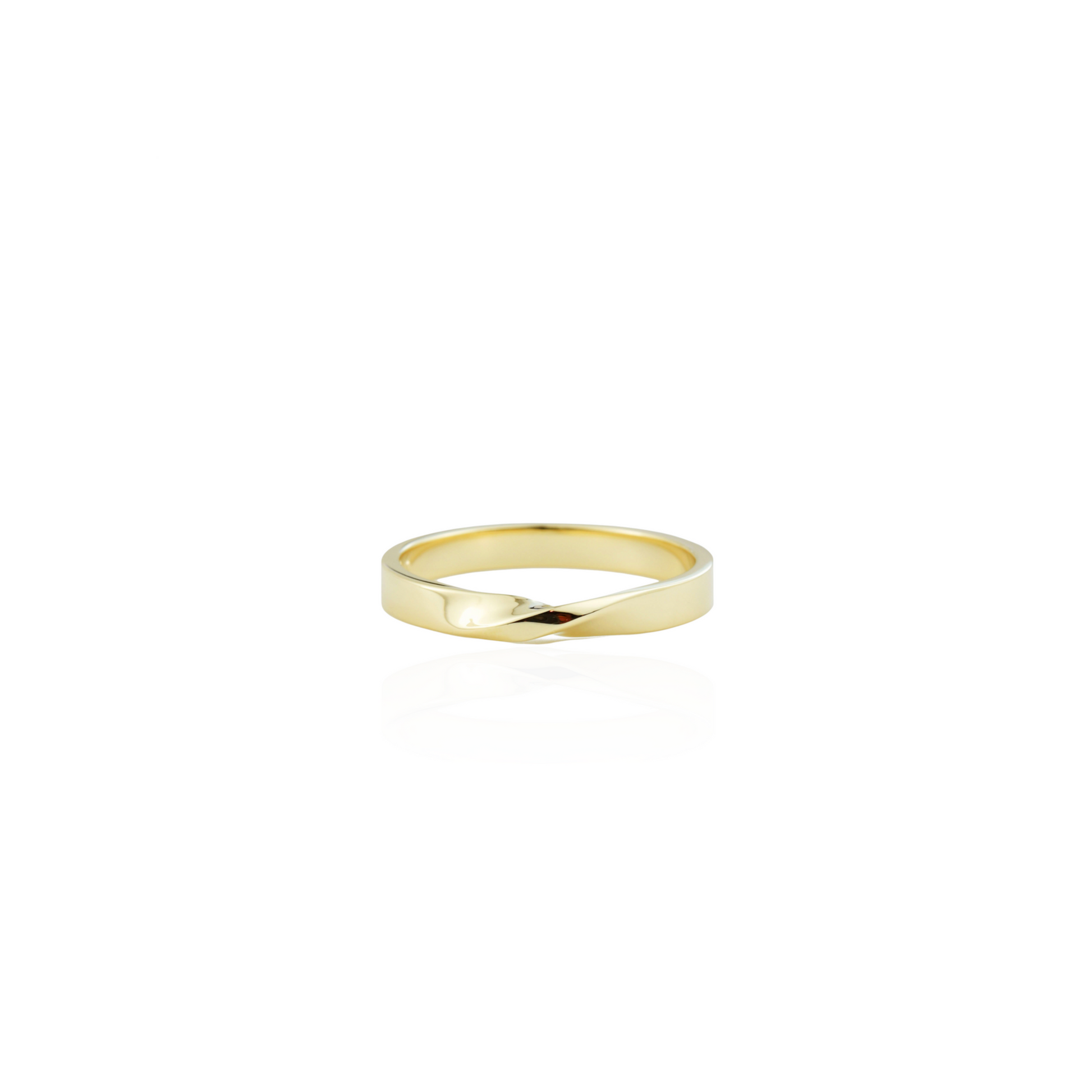 14k Mobius Ring - ALIZETI